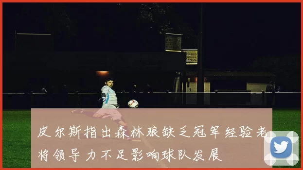 皮尔斯指出森林狼缺乏冠军经验老将领导力不足影响球队发展