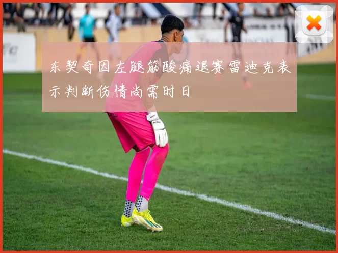 东契奇因左腿筋酸痛退赛雷迪克表示判断伤情尚需时日