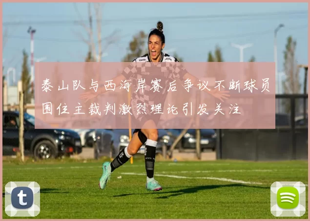泰山队与西海岸赛后争议不断球员围住主裁判激烈理论引发关注