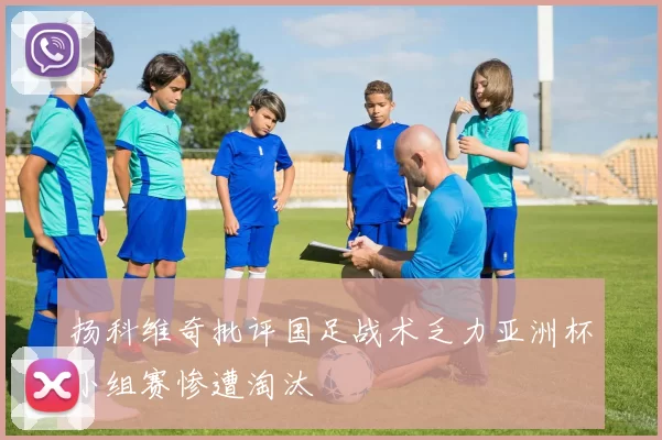 扬科维奇批评国足战术乏力亚洲杯小组赛惨遭淘汰